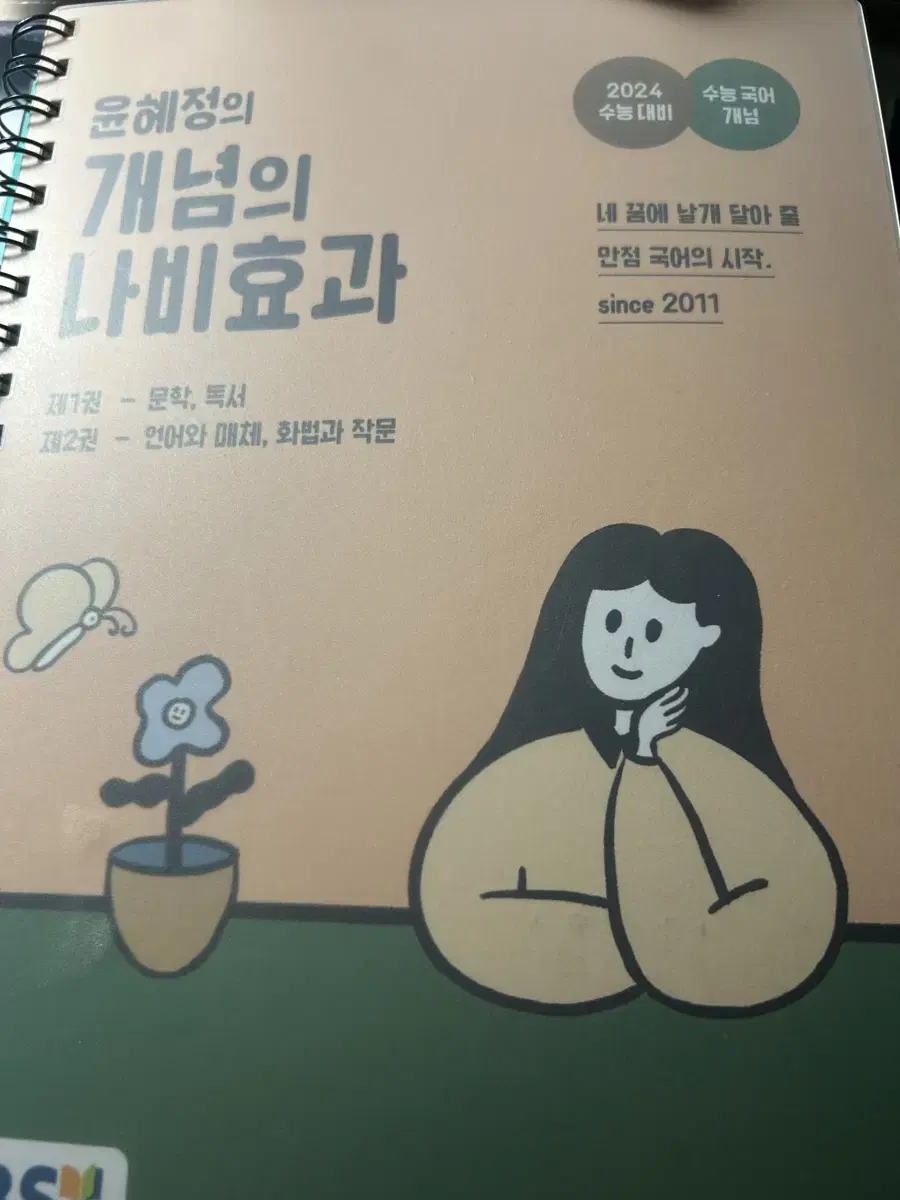 (일괄) 윤혜정의 개념의 나비효과 2024 2025 워크북